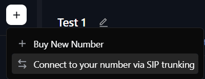 Connect via SIP Trunking Option