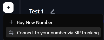 Connect via SIP Trunking Option